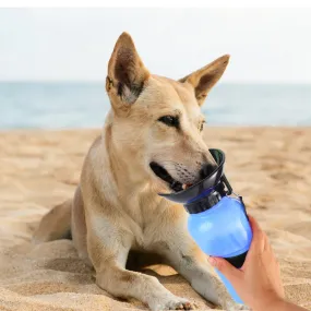 500ml Pet Water Bottle Portable Water Cup