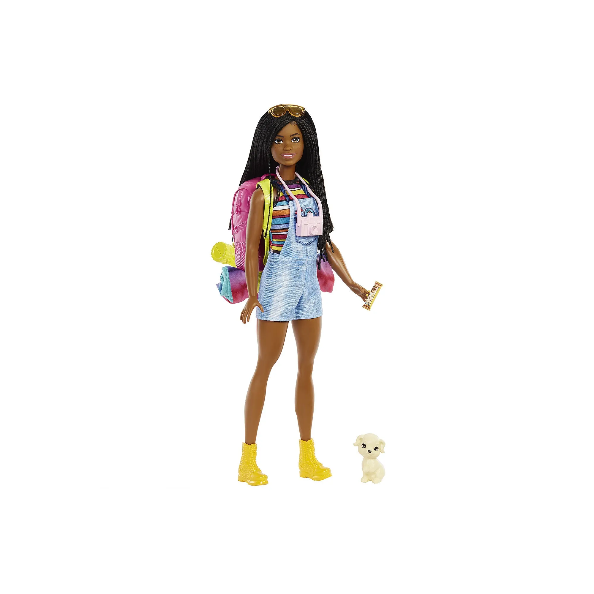 Barbie HDF74 It Takes Two "Brooklyn" Camping Doll with Pet Puppy And Accessories Set