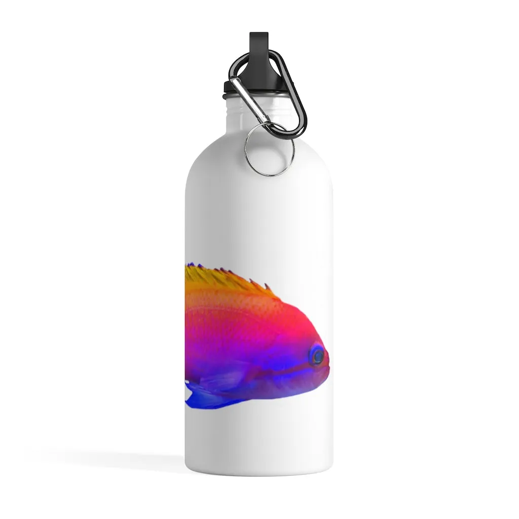 Colored Fish Stainless Steel Water Bottle