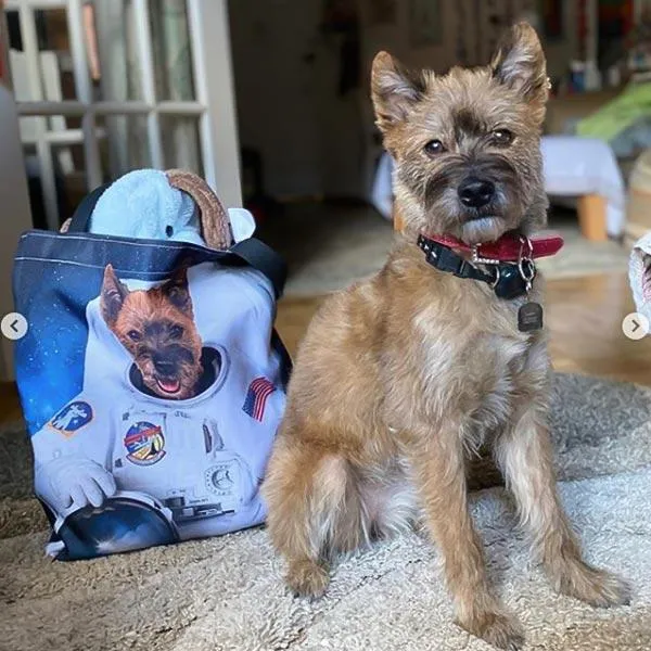 Custom Pet Art Tote Bag