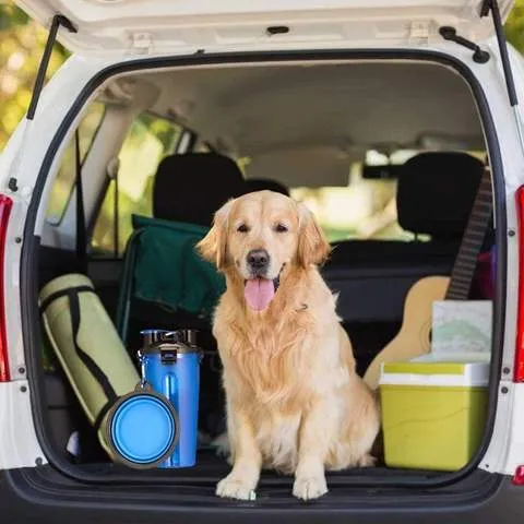 Dog Water Bottle: Complete Outdoor 4-in-1 Package