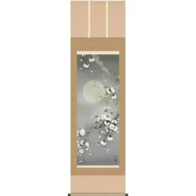 Kakejiku Night Time Sakura Full Moon Yosui Ogata Hanging Scroll