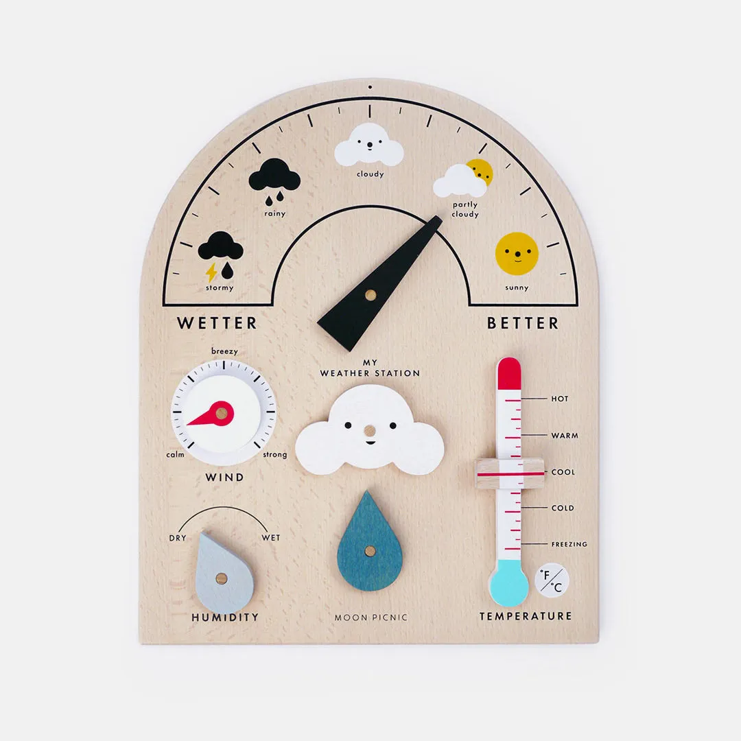 Moon Picnic My Weather Station