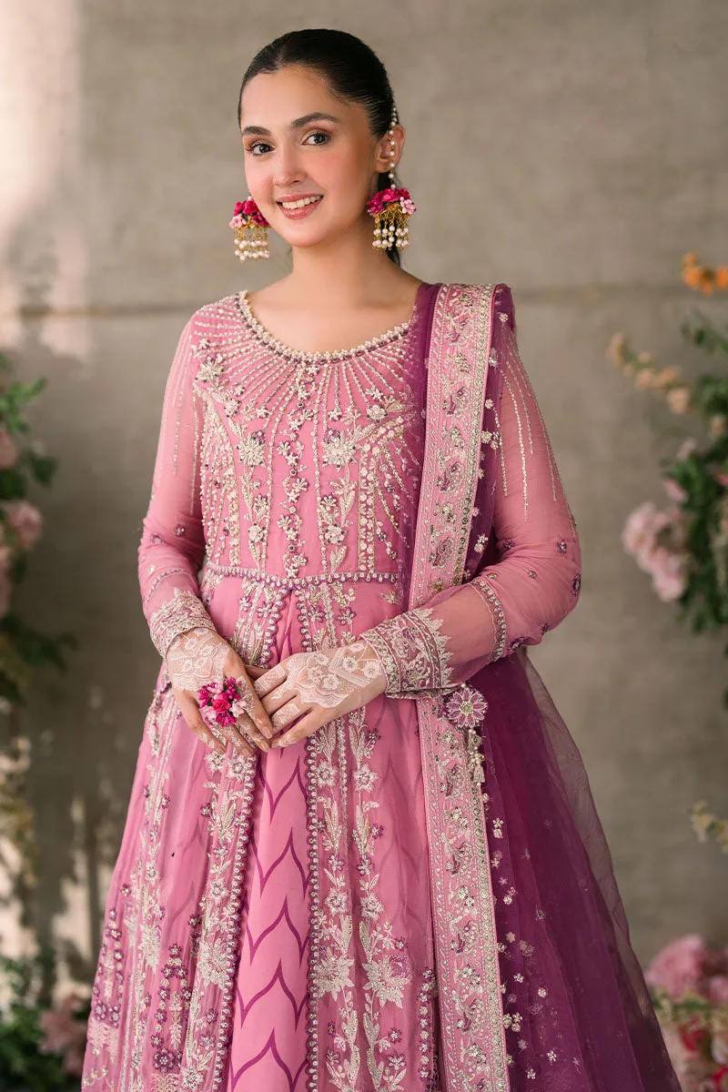 Mushq Mastani Evening Luxury Wedding Formals – Dua