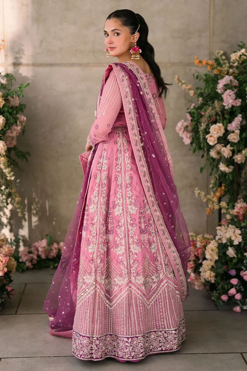 Mushq Mastani Evening Luxury Wedding Formals – Dua