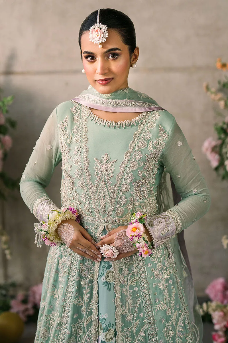 Mushq Mastani Evening Luxury Wedding Formals – Faiza