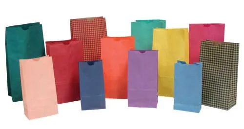 Recycled Paper Bags - Custom Printed