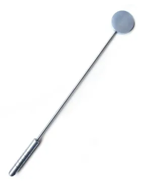 Riding Crop Slapper in Aluminum