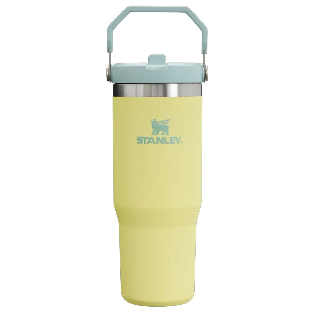 Stanley IceFlow Flip Straw Tumbler 20 oz. - 30 oz.