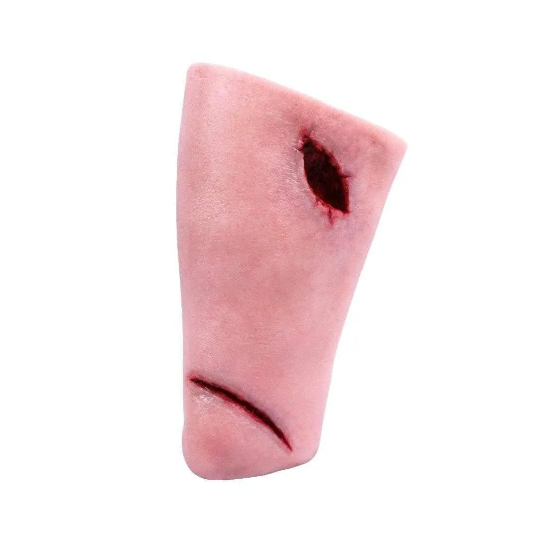 Wound Management Leg Trainer